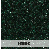 Forrest